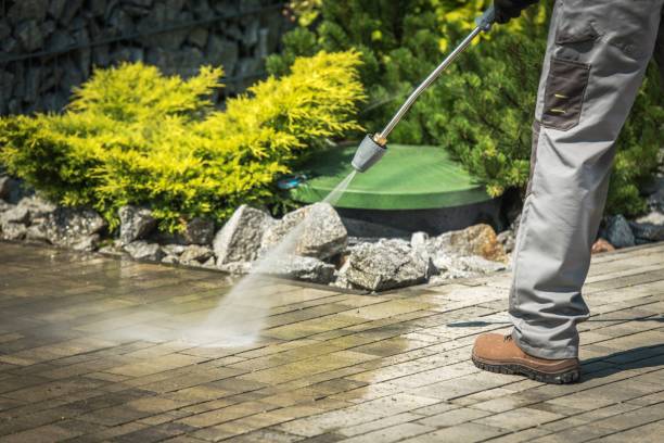 Animal Enclosure Cleaning in Wood Ridge, NJ