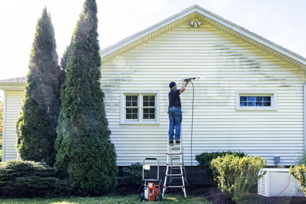 Best Driveway Pressure Washing  in Wood Ridge, NJ
